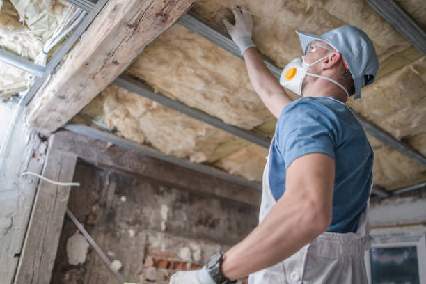 Best Specialized Insulation Services in Indian Lake, TX